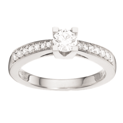 Kleopatra Queen Ring Hvidguld