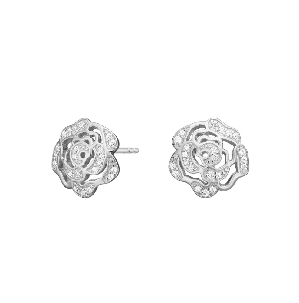 Ørestikker SANDRANOR